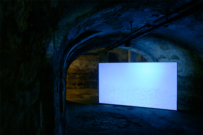 Barnabas Huber - Auspizien 2010 (Offspace Spenglerei) - Vorne Auspizien 2010 (Offspace Spenglerei) - Vorne